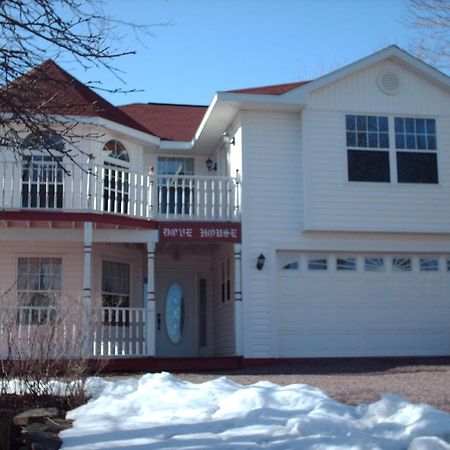 Dove House Bed & Breakfast Harbourside North Sydney Dış mekan fotoğraf