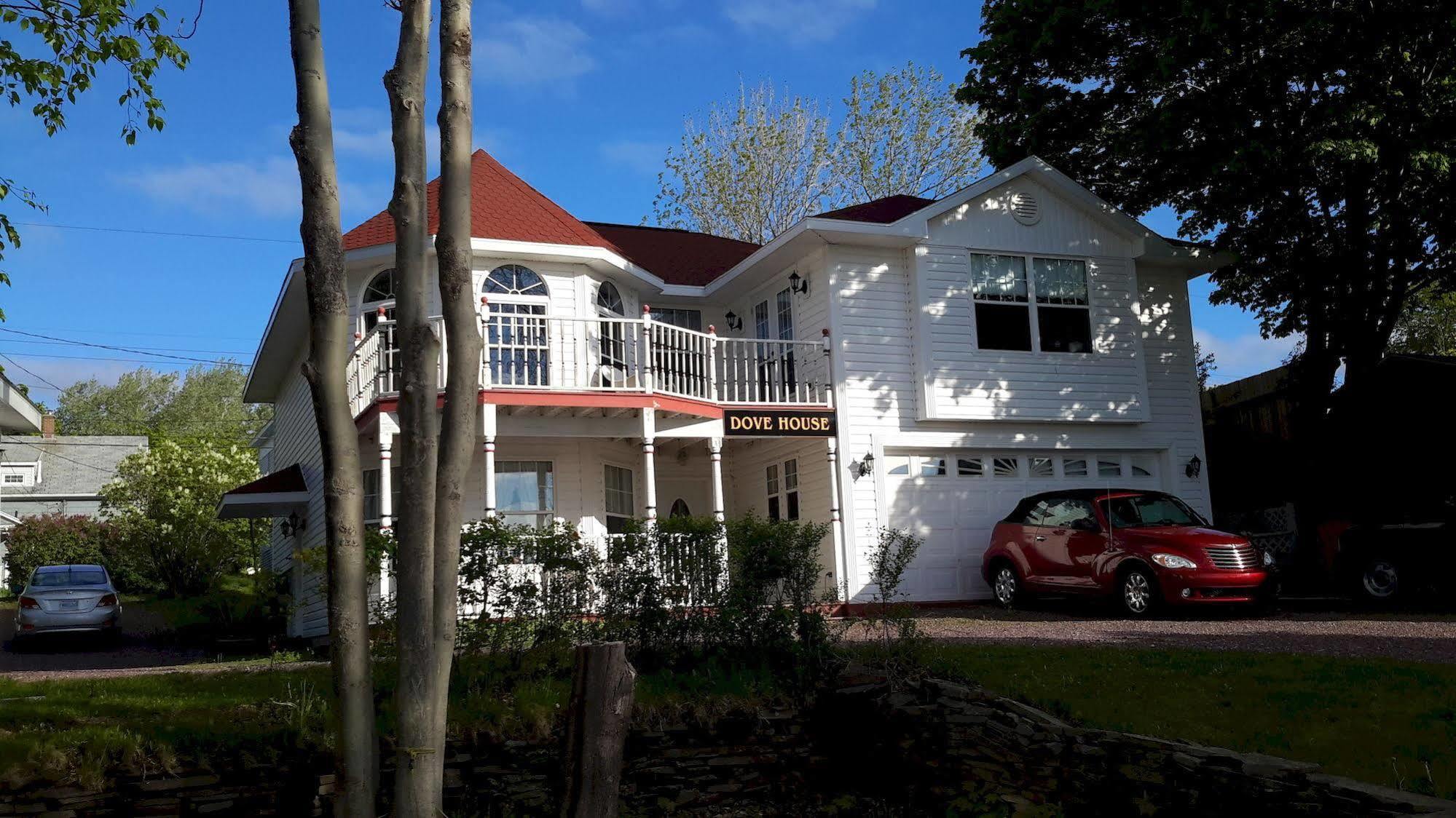 Dove House Bed & Breakfast Harbourside North Sydney Dış mekan fotoğraf