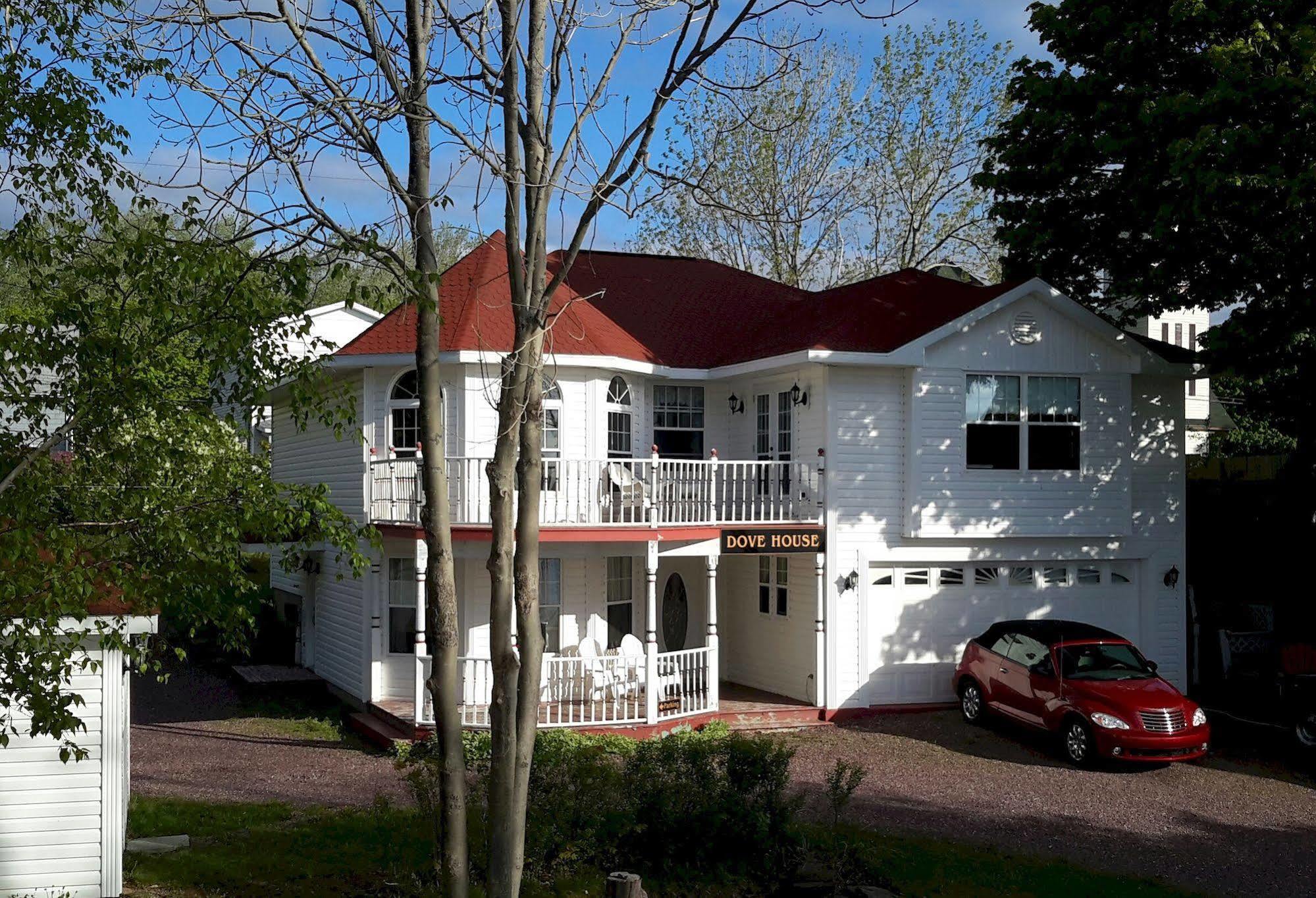 Dove House Bed & Breakfast Harbourside North Sydney Dış mekan fotoğraf