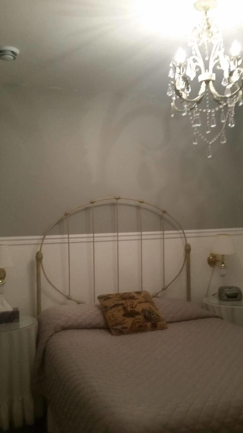 Dove House Bed & Breakfast Harbourside North Sydney Dış mekan fotoğraf