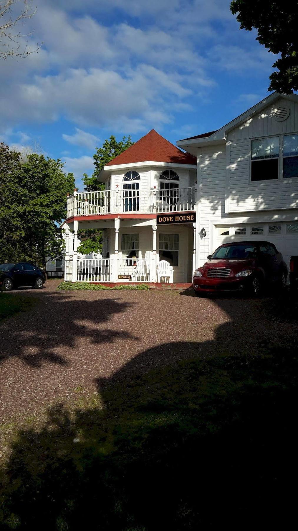 Dove House Bed & Breakfast Harbourside North Sydney Dış mekan fotoğraf